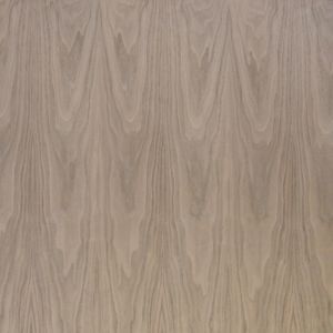 Close up of flat cut walnut veneer